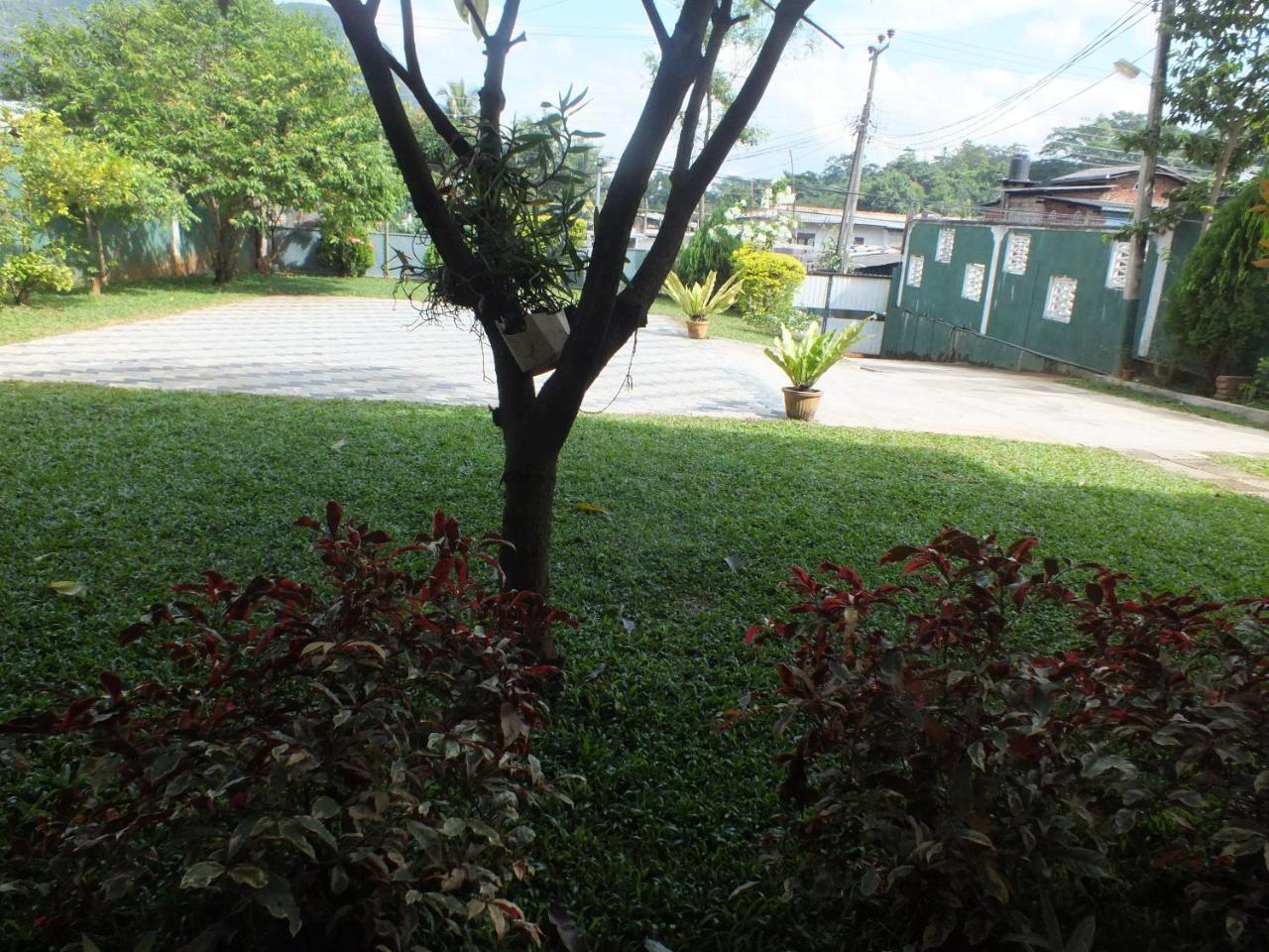 Hillsview Rest & Guest House Matale Buitenkant foto
