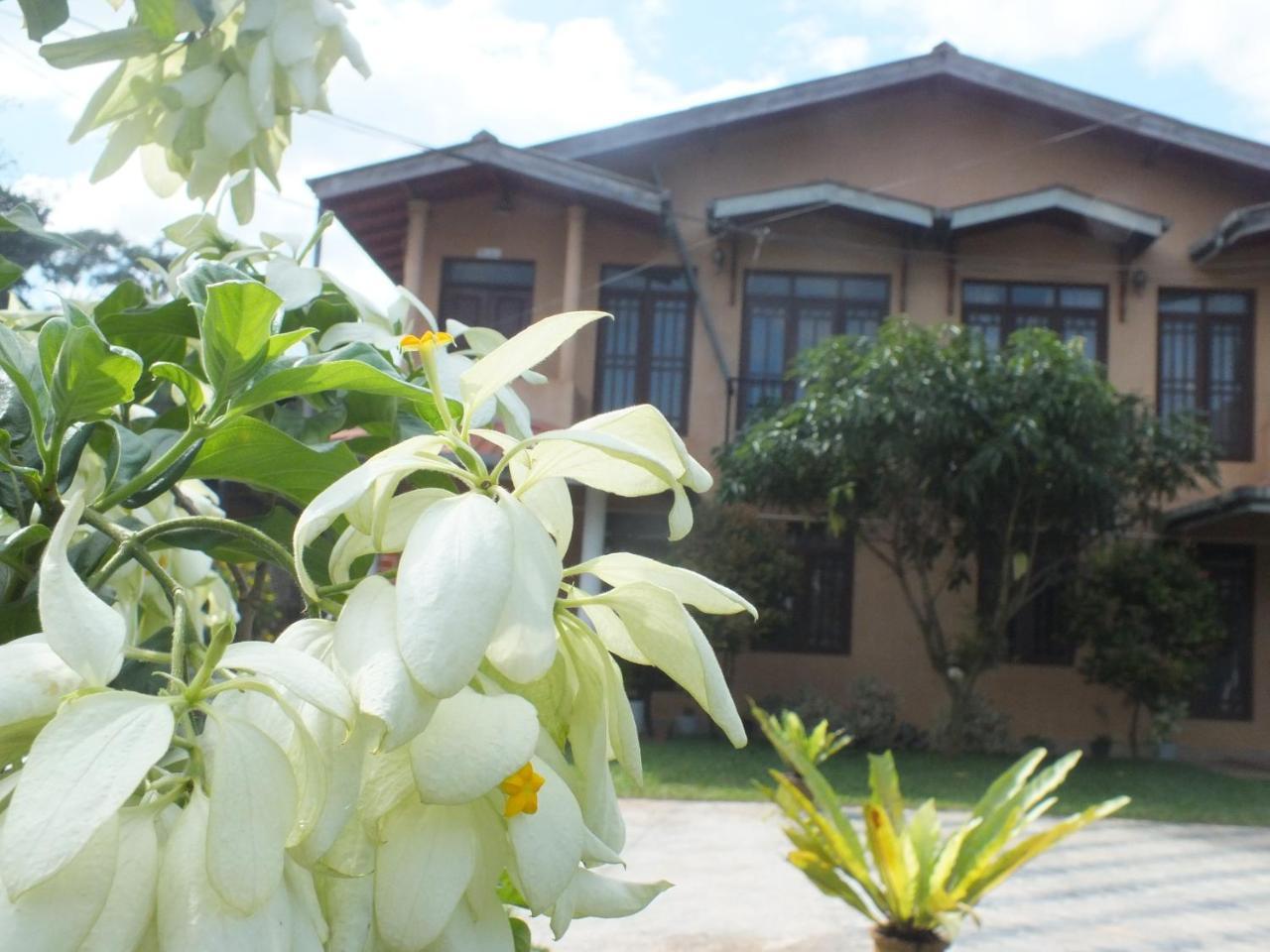 Hillsview Rest & Guest House Matale Buitenkant foto